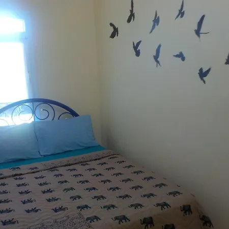 Charlotte Apartment